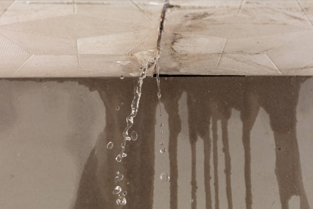Professional Structural Drying technician working in Belle Plaine, KS